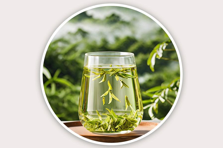 Premium Green Tea Collection | Fresh Flavors & Health Benefits